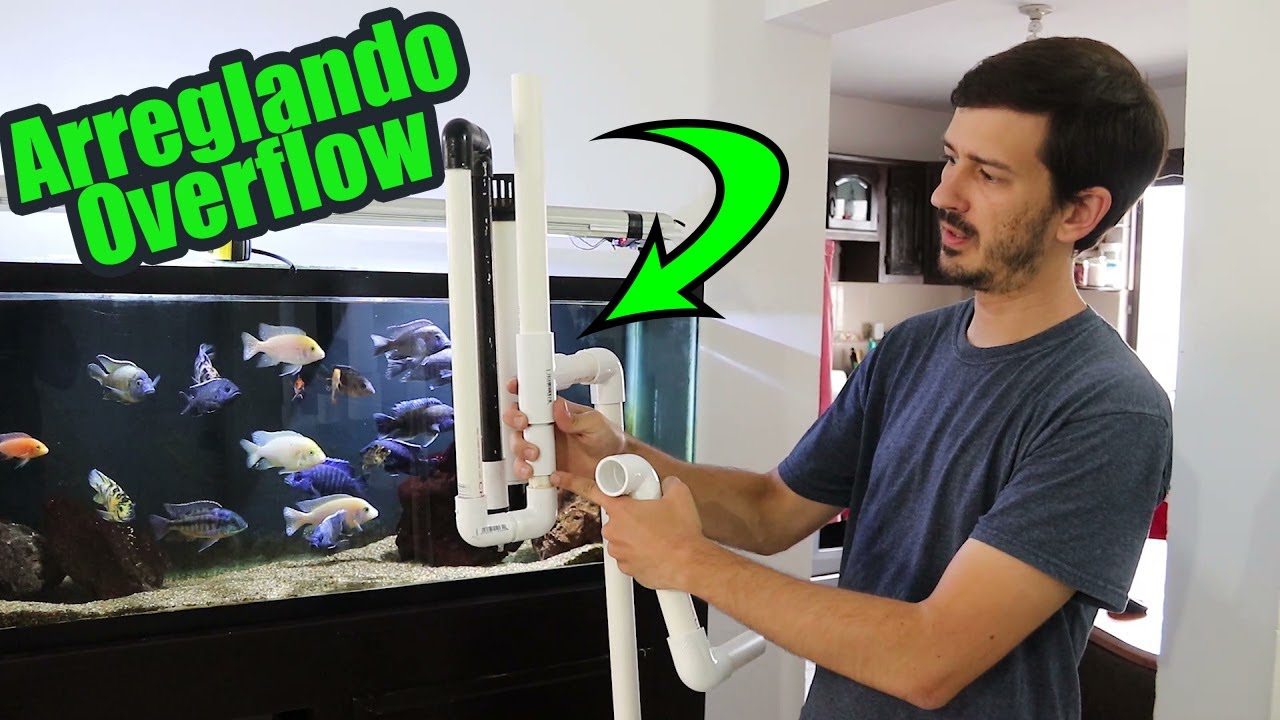 Modificando Overflow