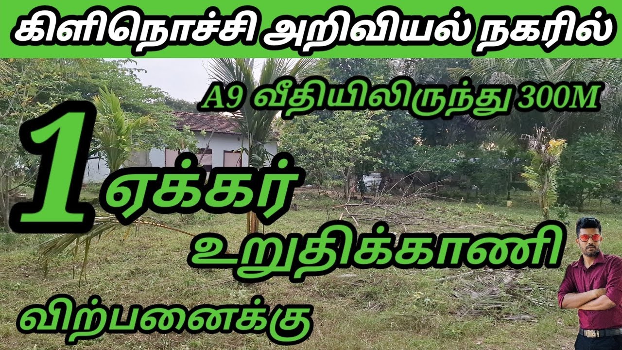 கிளிநொச்சி அறிவியல் நகரில்A9 வீதியிலிருந்து 300  1ஏக்கர் உறுதிக்காணி,விற்பனைக்கு