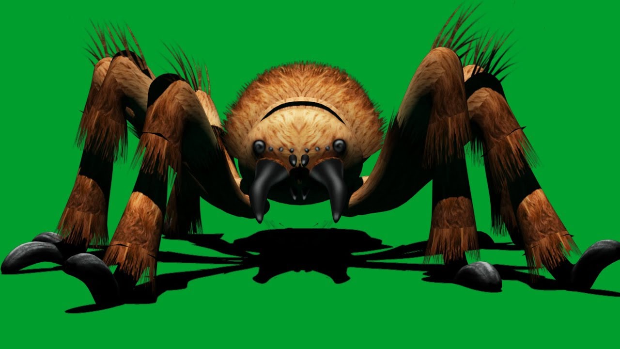 green screen spider | spider attacks-walk-jump-death green screen effects