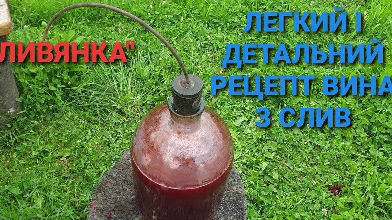 Доступний й і покроковий рецепт приготування вино з слив.