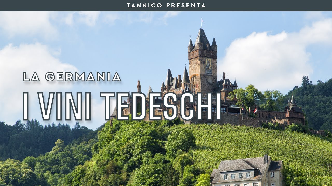 I vini tedeschi | Tannico Flying School