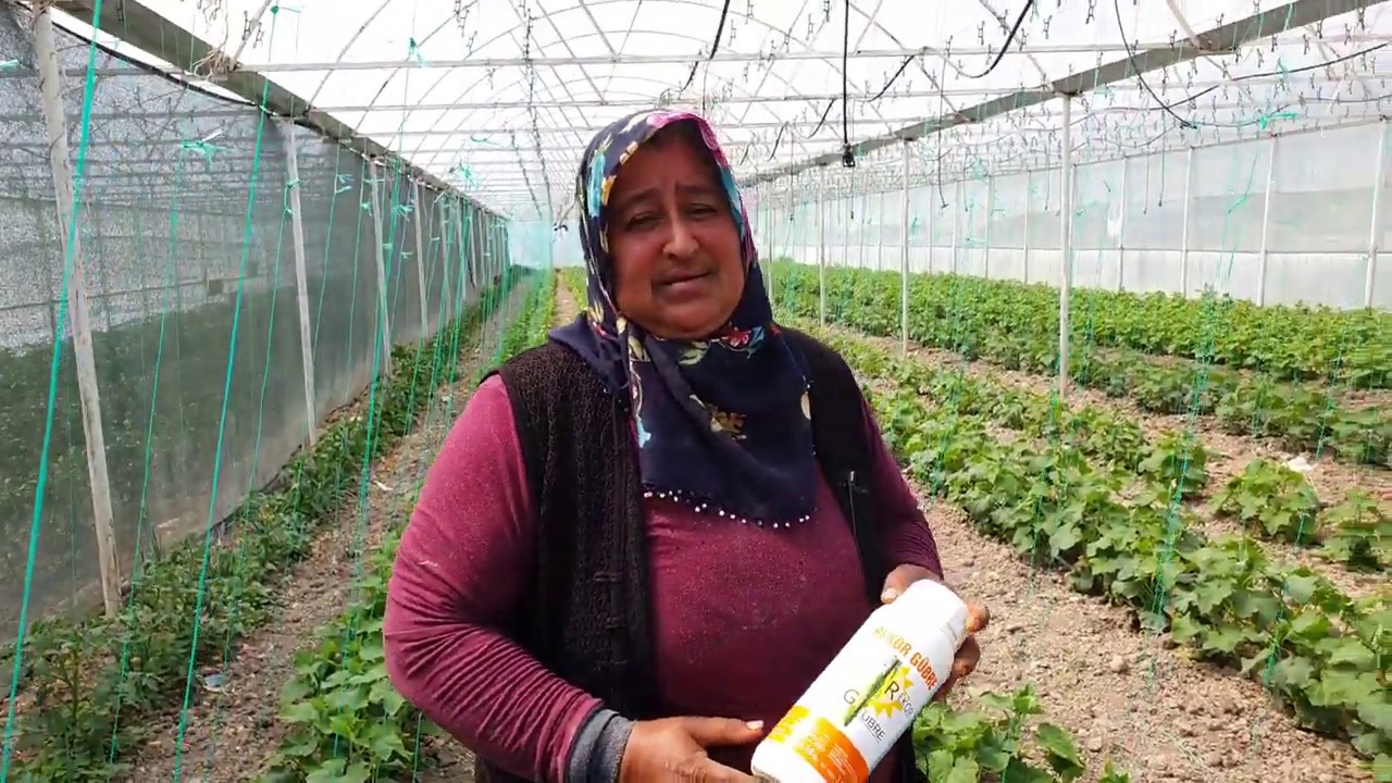 Budur-Serada Rekor Gelişim ve Rekor Gübre Yaprak Gübresi Faydaları