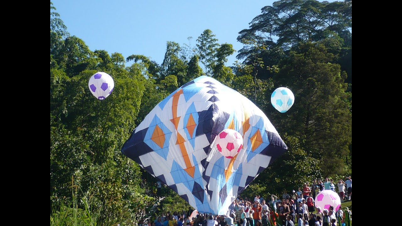 Festival de Globos Tradici&oacute;n Prohibida 2007 - Resumen