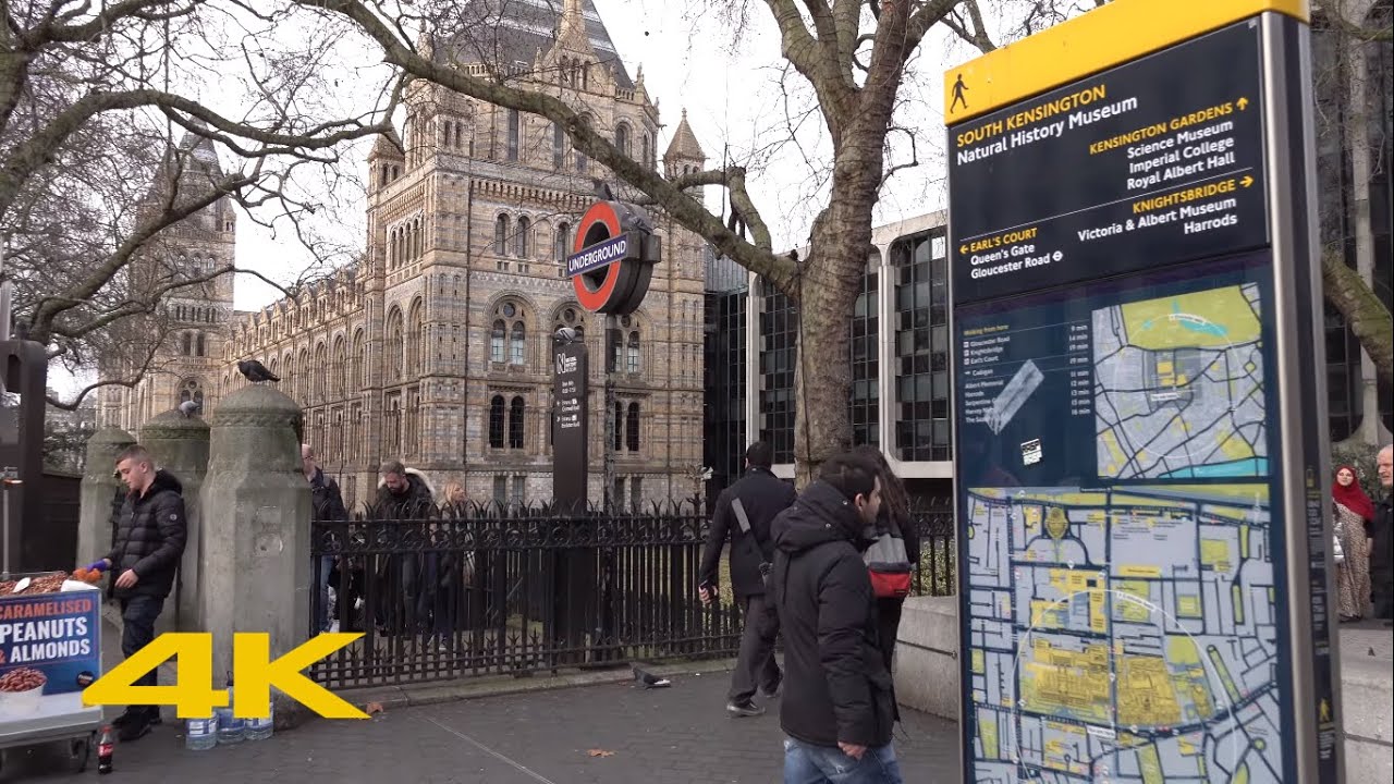 London Walk: South Kensington | Natural History Museum | Imperial College【4K】