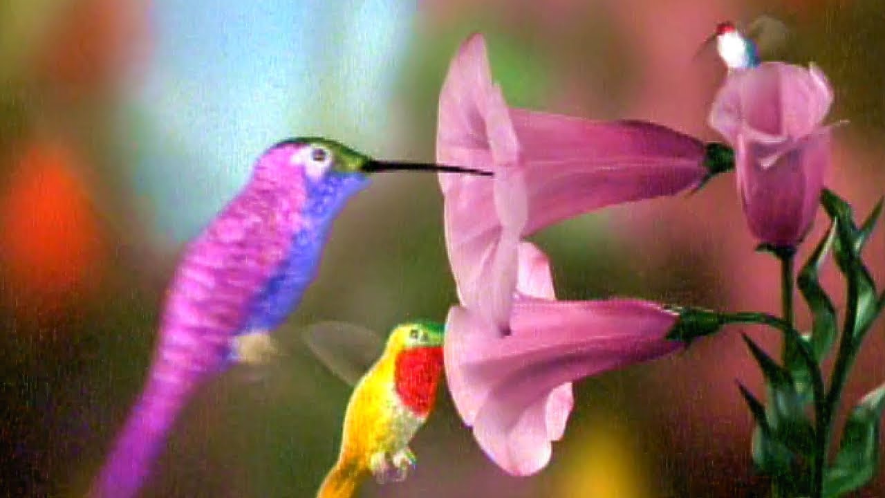 Jan Hammer - Seeds Of Life (from Beyond The Mind's Eye)  [OFFICIAL]