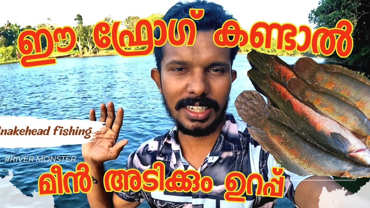 ഇവന്മാരെ പിടിക്കാൻ ഈ ലുർ മതി Snakehead fishing video ,cherumeen malayalam.#fishing @Flyfishing.