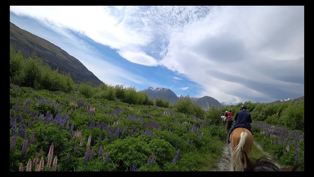 Riding High Country Horses, Glenorchy, NZ