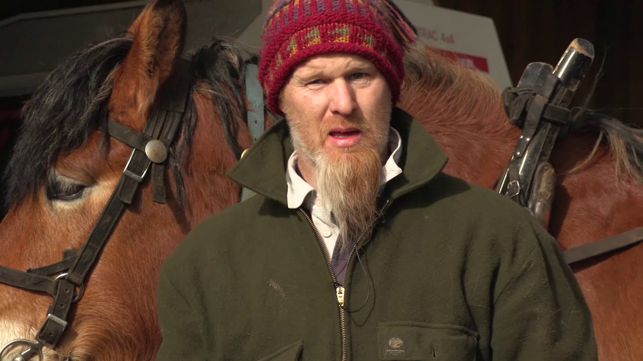 Andrew Whitaker talks to Scottish Field about his horses and timber extraction