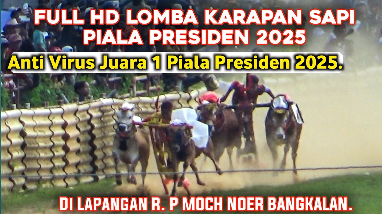 Full HD Lomba Karapan Sapi Piala Presiden 2025 Di Lap R. P Moch Noer Bangkalan. 