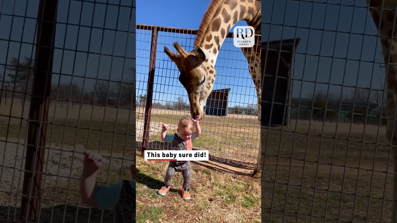 Best. Babysitter. EVER! 🦒💕✨