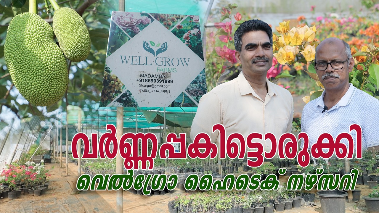 വർണ്ണപ്പകിട്ടൊരുക്കി വെൽഗ്രോ ഹൈടെക് നഴ്‌സറി