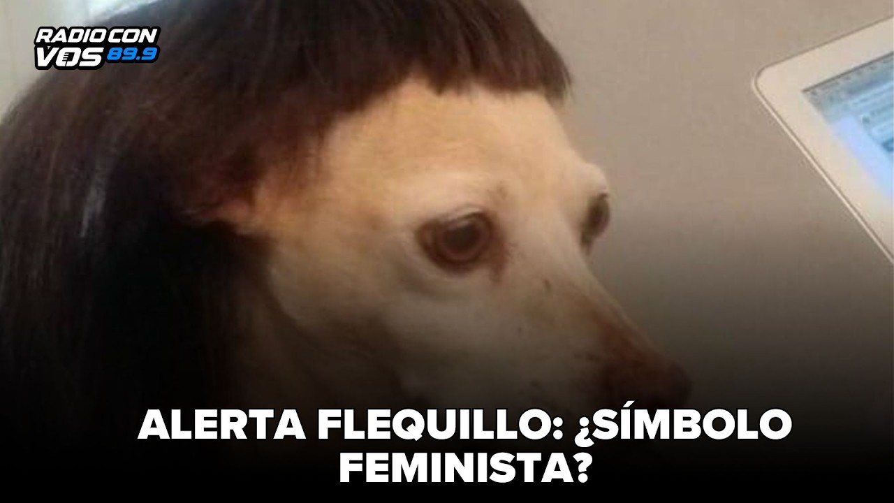 Alerta flequillo, historia y política del pelo | Celeste Murillo