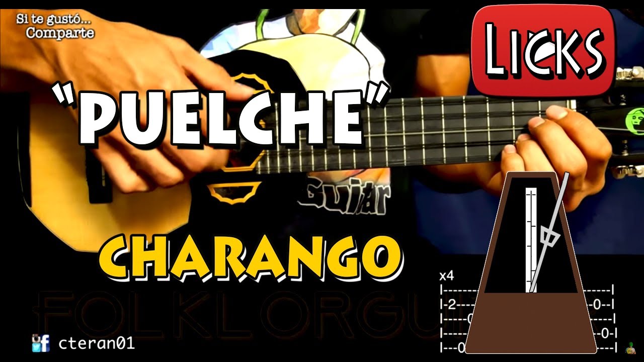 Puelche - Freddy Torrealba LICK Cover/Tutorial Charango