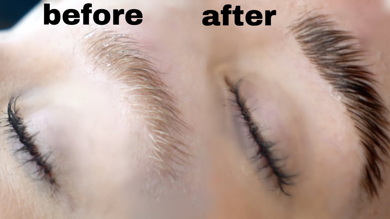 I GOT MY EYEBROWS LAMINATED?! | Instagram Model Brow Transformation