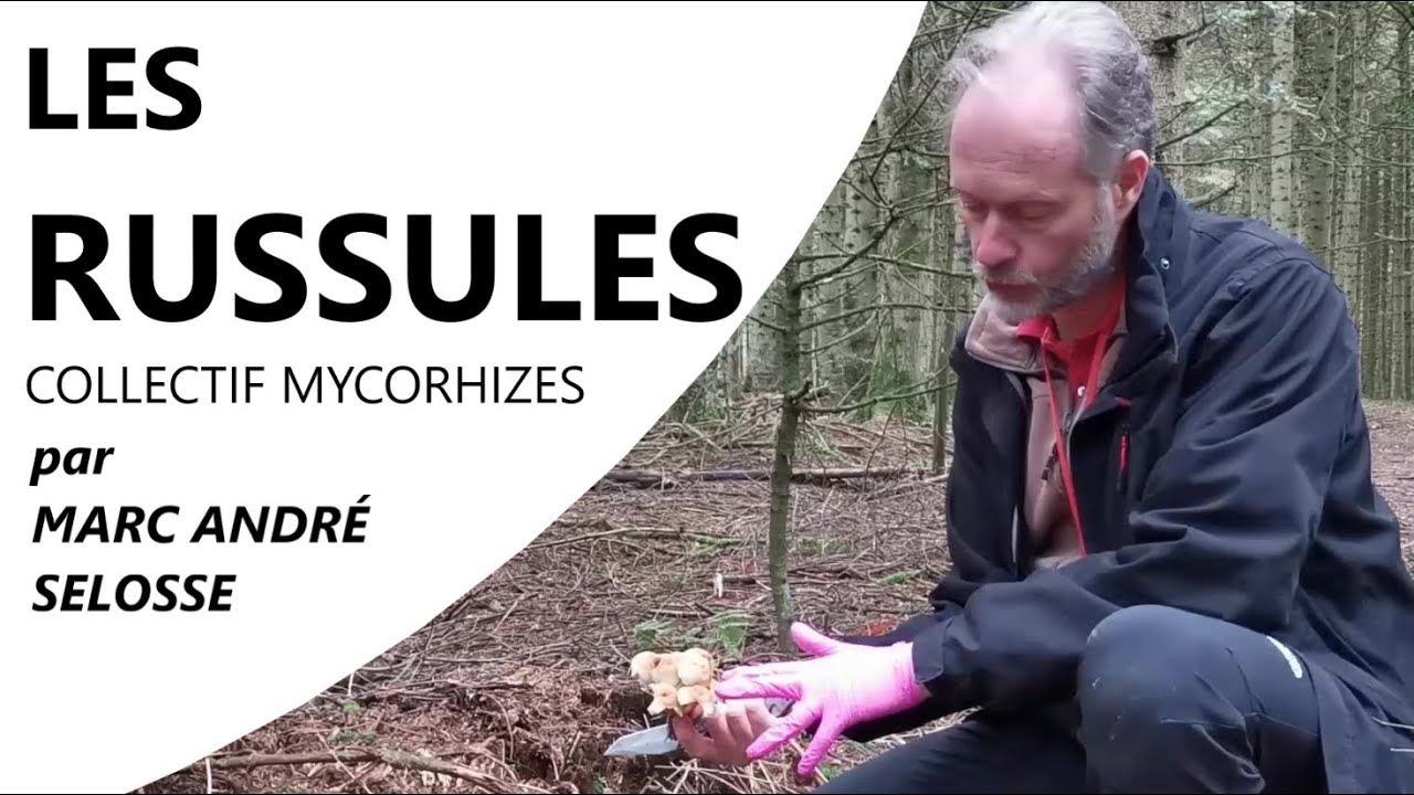 Épisode 14 : LES RUSSULES - Marc André SELOSSE & le Collectif Mycorhizes