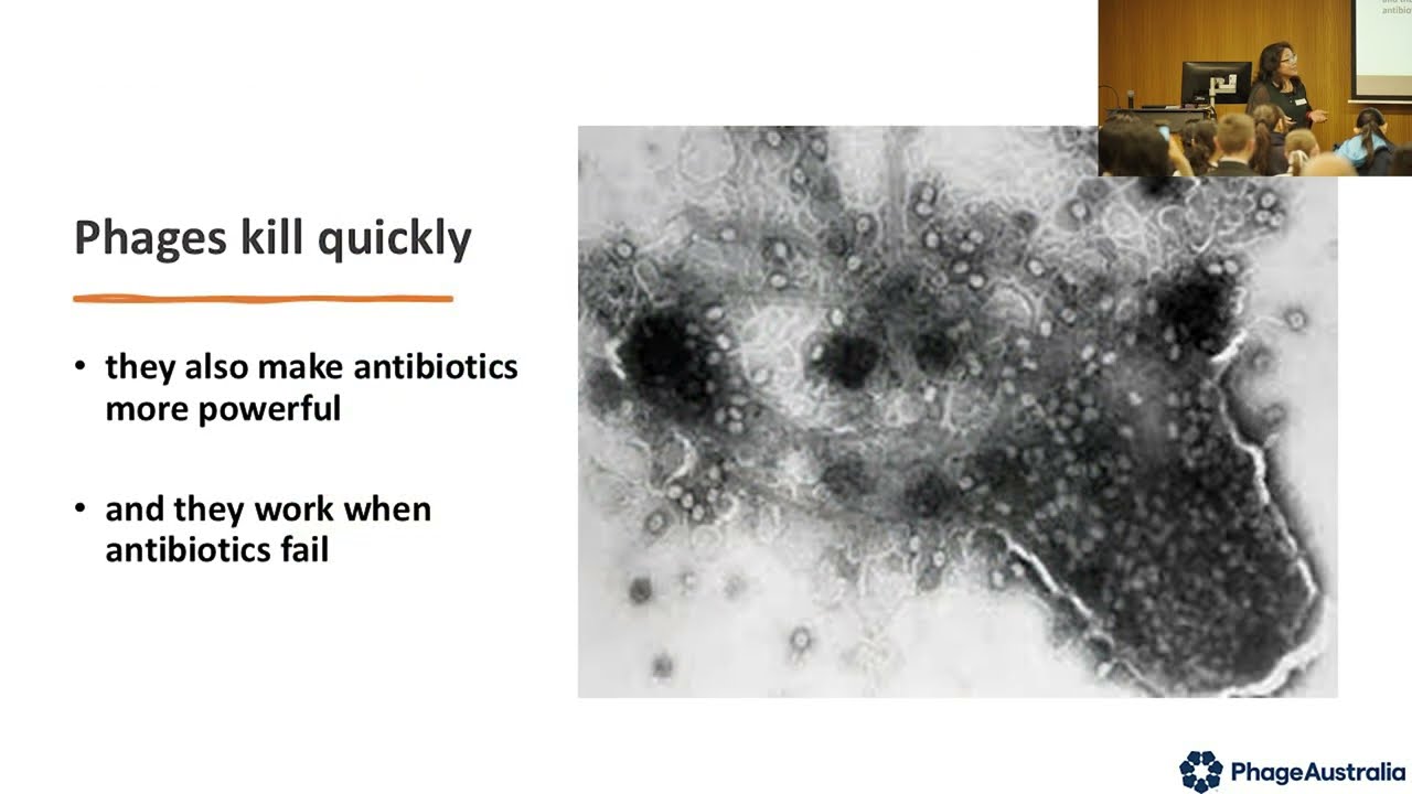National Science Week at WIMR 2024 - Dr Ruby CY Lin, PHD