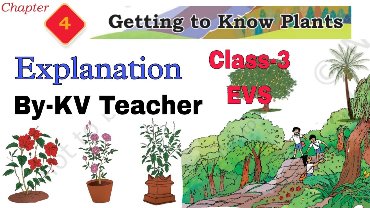 (PART-2) Getting to know Plants/ Class-3 EVS (TWAU) New NCERT Chapter-4 हिंदी Explanation KV Teacher