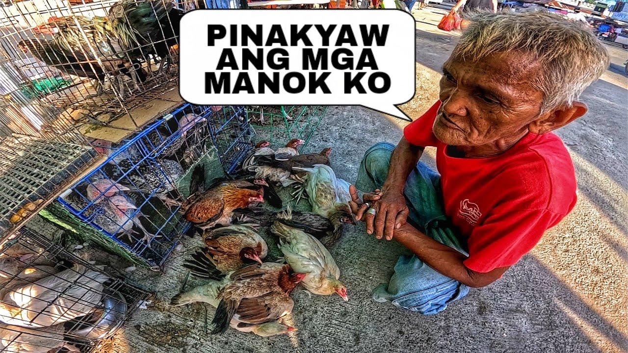EKSENA SA GROTTO MAY 18, 2025 | PET TIANGGE