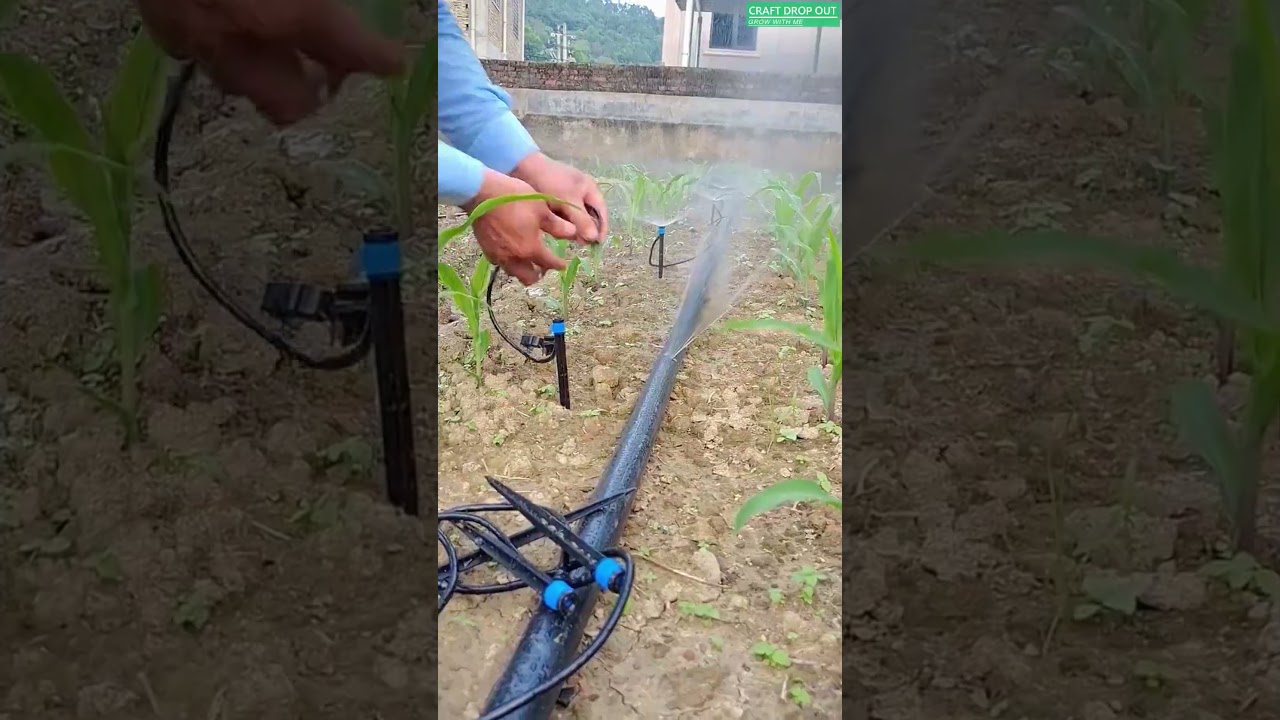 🌱💧 Fast and Clean Micro Sprinkler Irrigation Setup