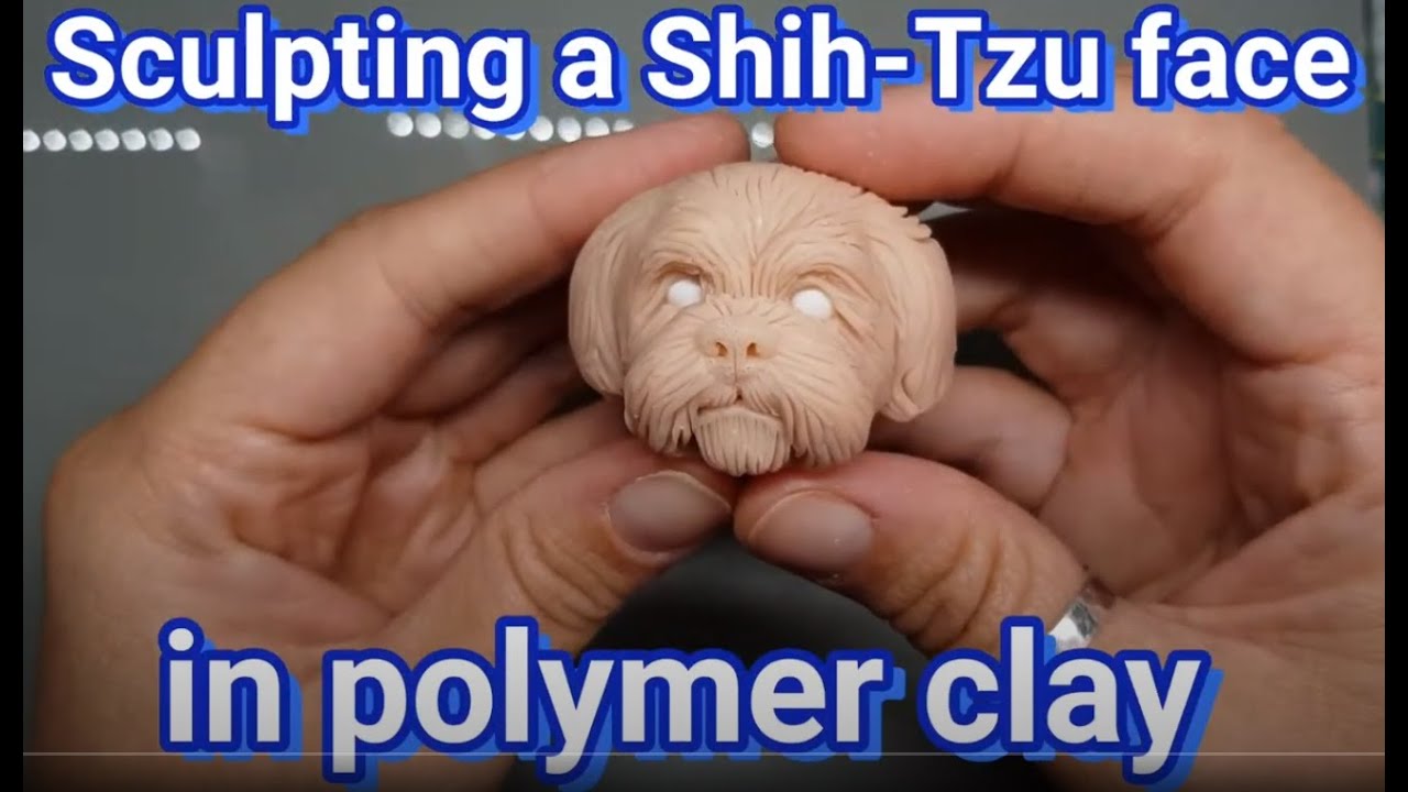 Sculpting a Shih-Tzu face