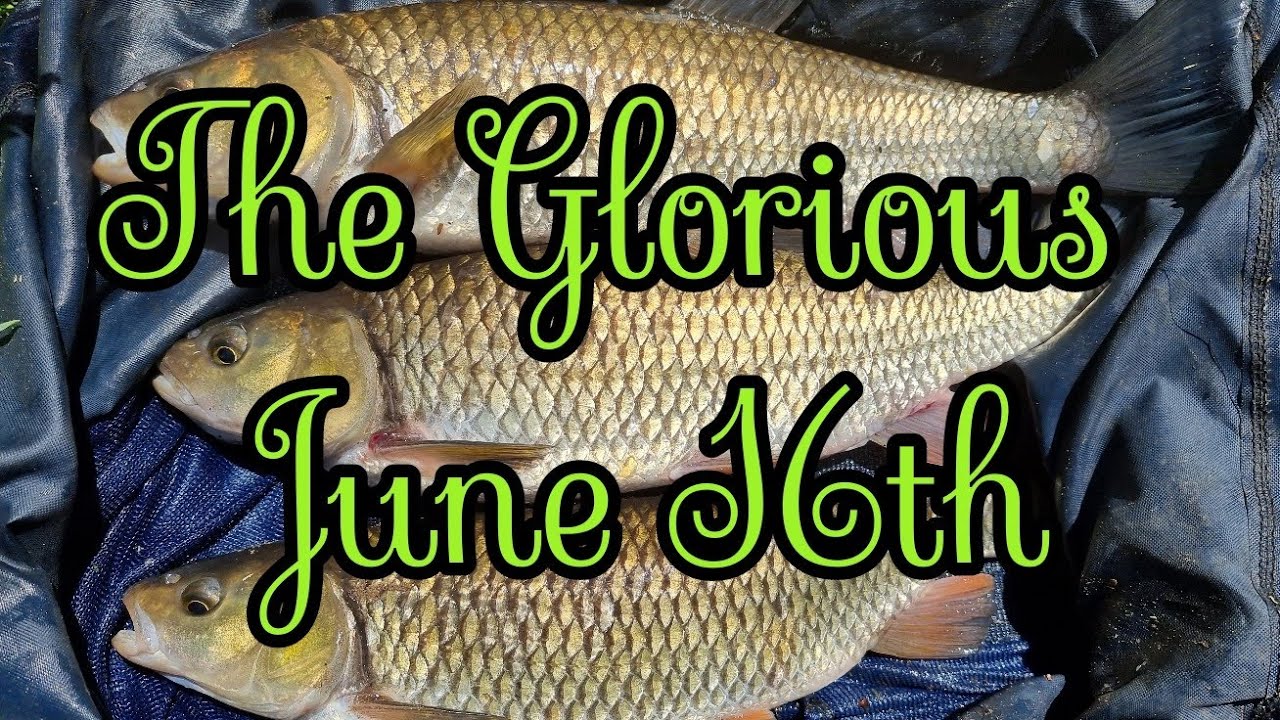Chub Fishing On Float - Glorious 16th - Dannys Angling Blog