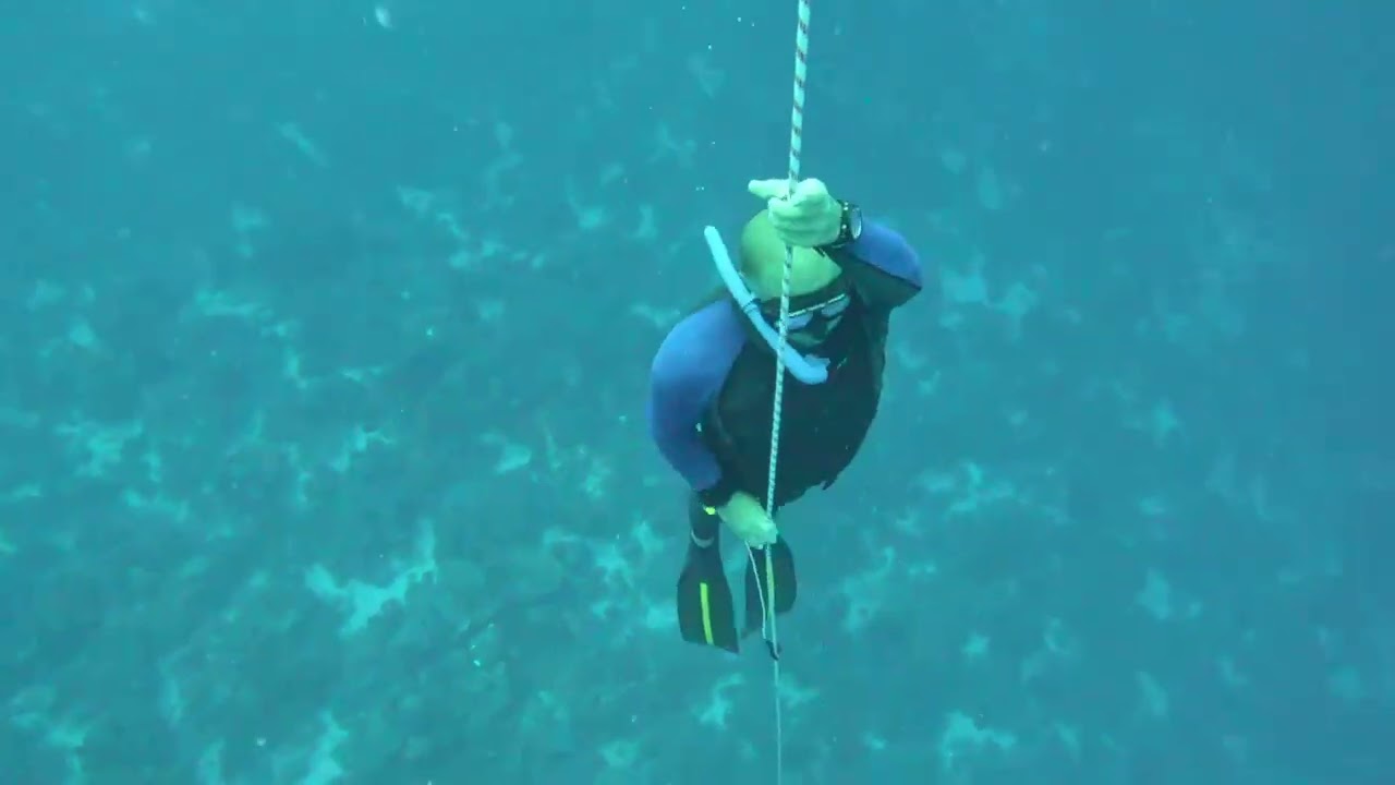 35+ m FIM Freedive | Enjoying the Freefall — Wave 3 Progress
