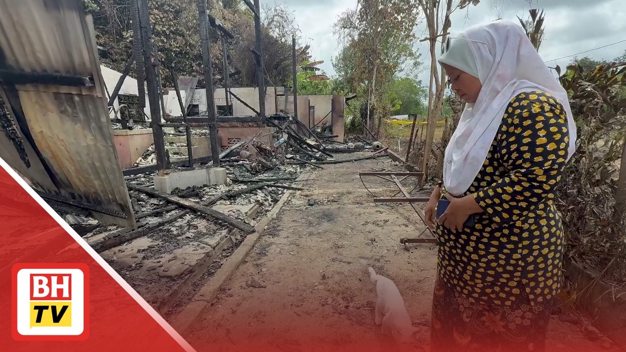 'Hanya 8 dari 30 anak bulus ditemui, apalah nasib mereka'