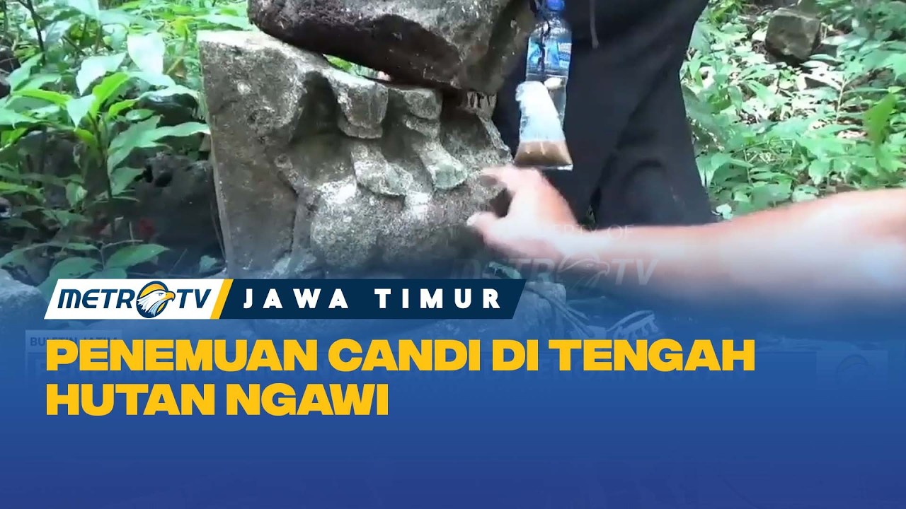 GEGER! Reruntuhan Candi Kuno Ditemukan di Hutan Ngawi