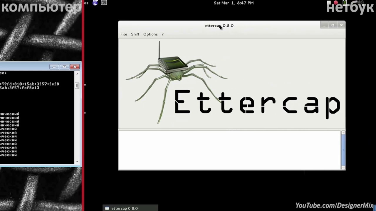 ARP спуфинг в Kali Linux  Взлом, защита и описание технологии