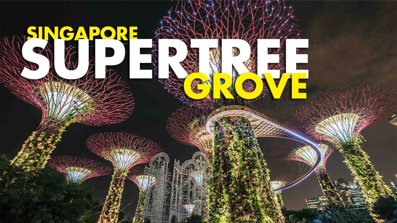 Supertree Grove at Night | A Must-See in Singapore!