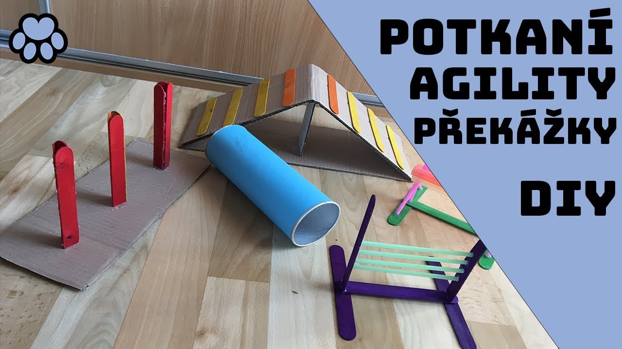 Vyrob si překážky na potkaní agility l DIY