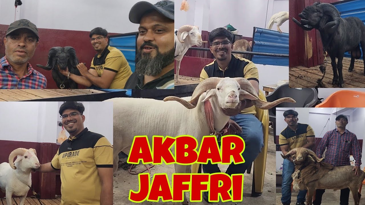 Never Seen Before Mendo Ka Lajawaab Collection | Akbar Jaffri Hyderabad | Top Setup Full Tour.