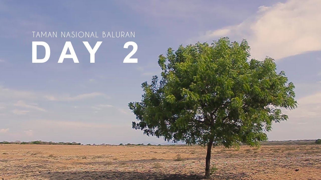 DAY 2: Taman Nasional Baluran // TravelxVlog