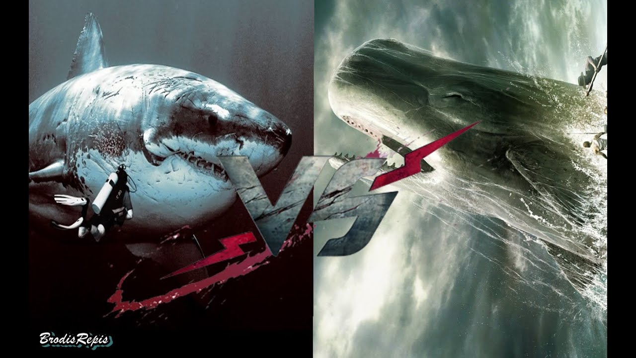 Megalodon VS. Moby Dick | Confronto de Rap | Part: LK RAPz