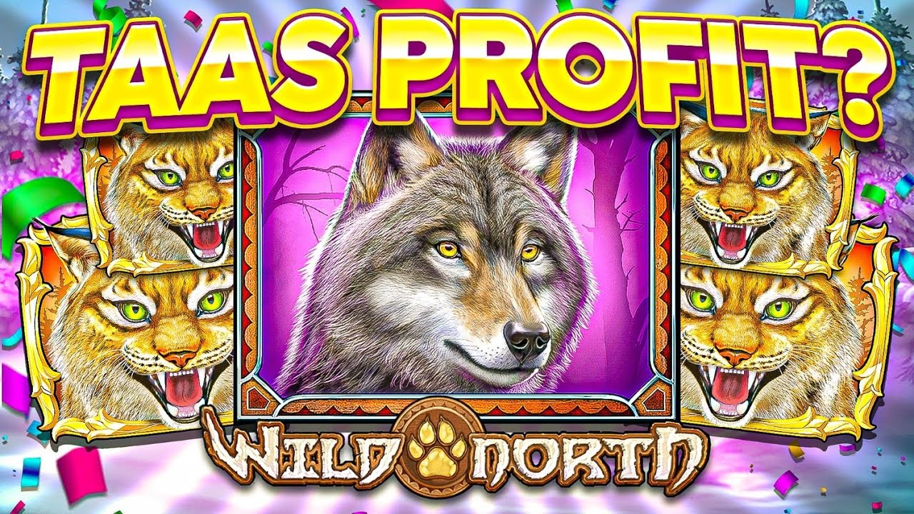 WILD NORTH JAKELI +5&euro; PANOKSELLA!