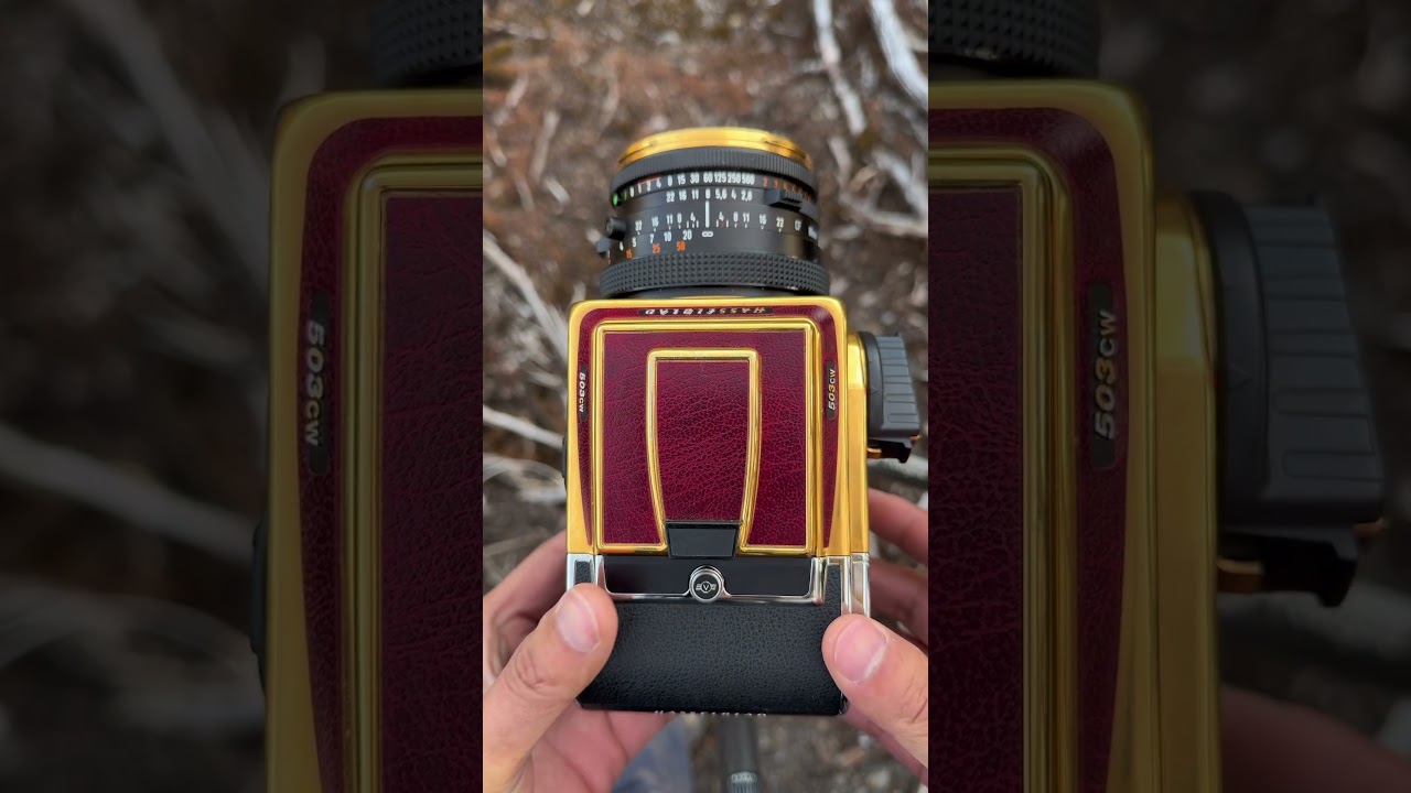 Timeless Landscape at Mount Peacock | 503CW Gold Supreme & CFV 100C