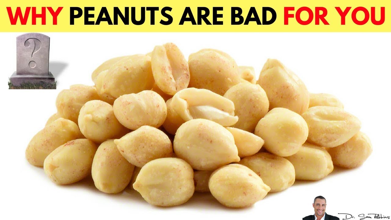 🥜Why Peanuts Are Bad - by Dr Sam Robbins