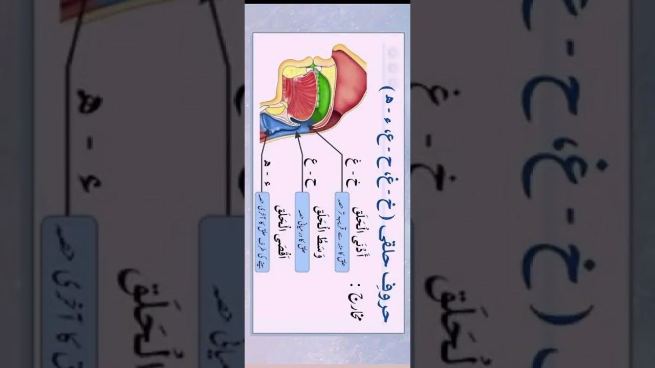 February 12, 2026