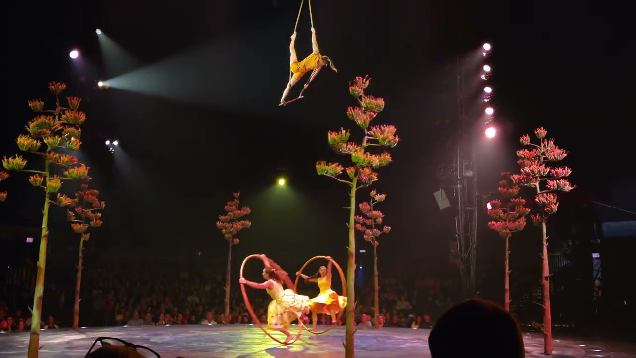 Cirque du Soleil's Luzia -- Washington DC 