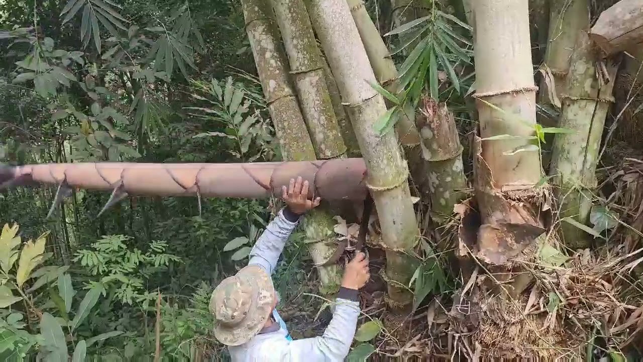 Seronok Tinggal Di Kampung