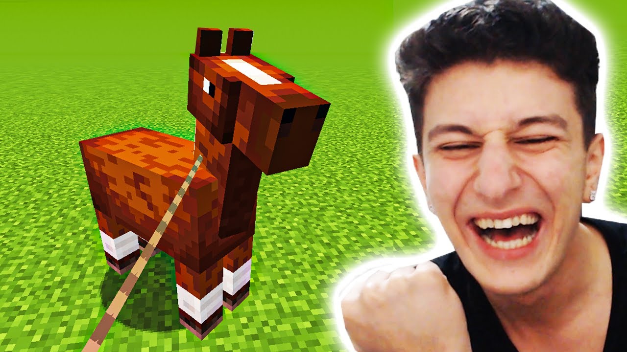 AT EVCİLLEŞTİRDİM 😍 Minecraft 10