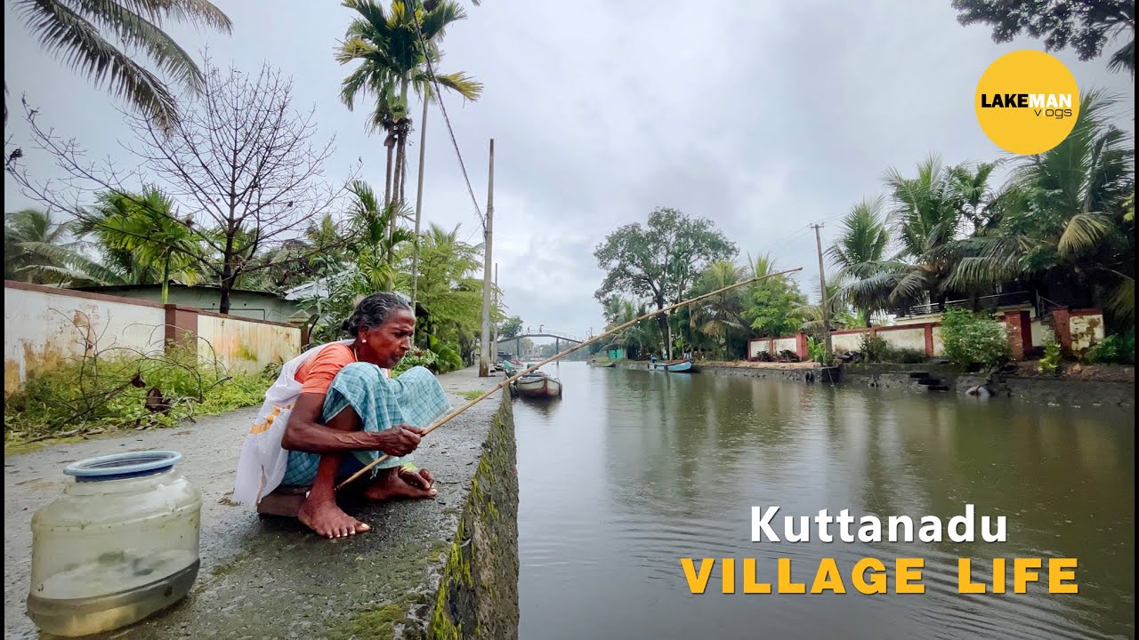 അമ്മച്ചി എത്ര simple ആയിട്ടാണ് മീൻ പിടിക്കുന്നത്  🎣  Kuttanadu Village Fishing & Fishing #fishing