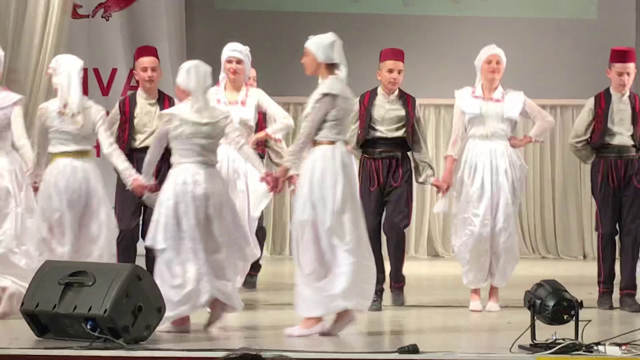 O.S Josanica 2019