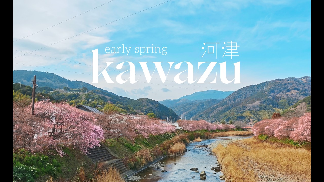 A Scenic Sakura Walk Around Kawazu