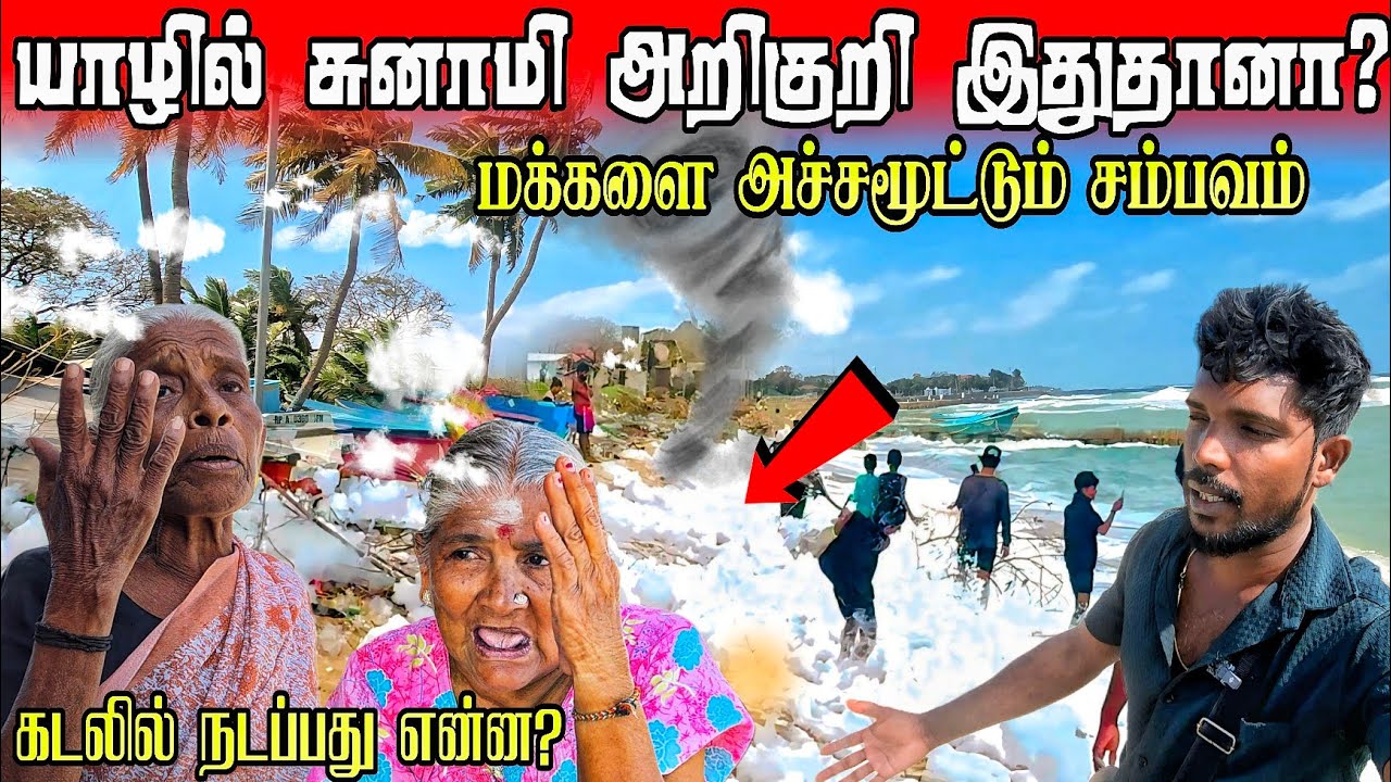 🚨யாழில் அச்சமூட்டிய சம்பவம் சுனாமி அறிகுறி இதுதானா? |Jaffna sea wave alert