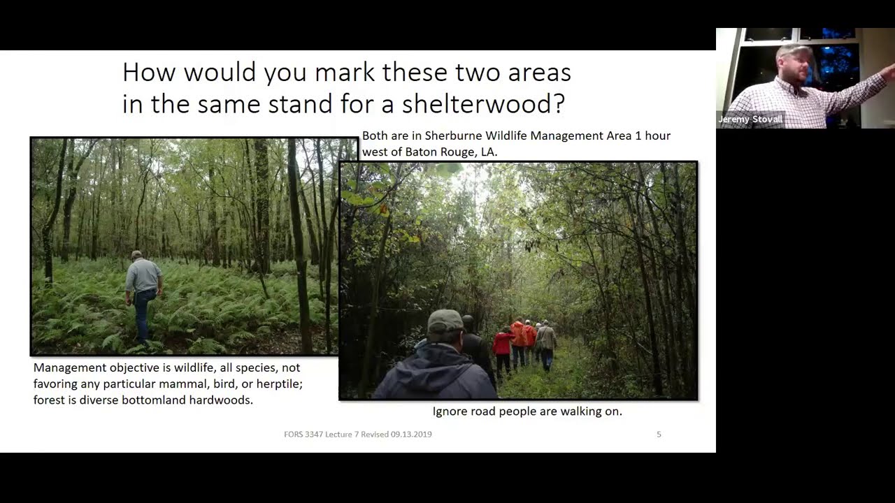 Shelterwood Regeneration Method - SFA Silviculture Lecture (FORS 3347)