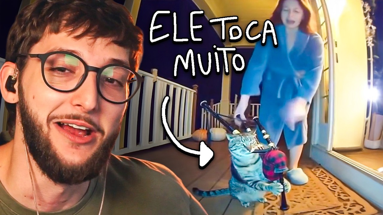 mais um dia de reddit: o site