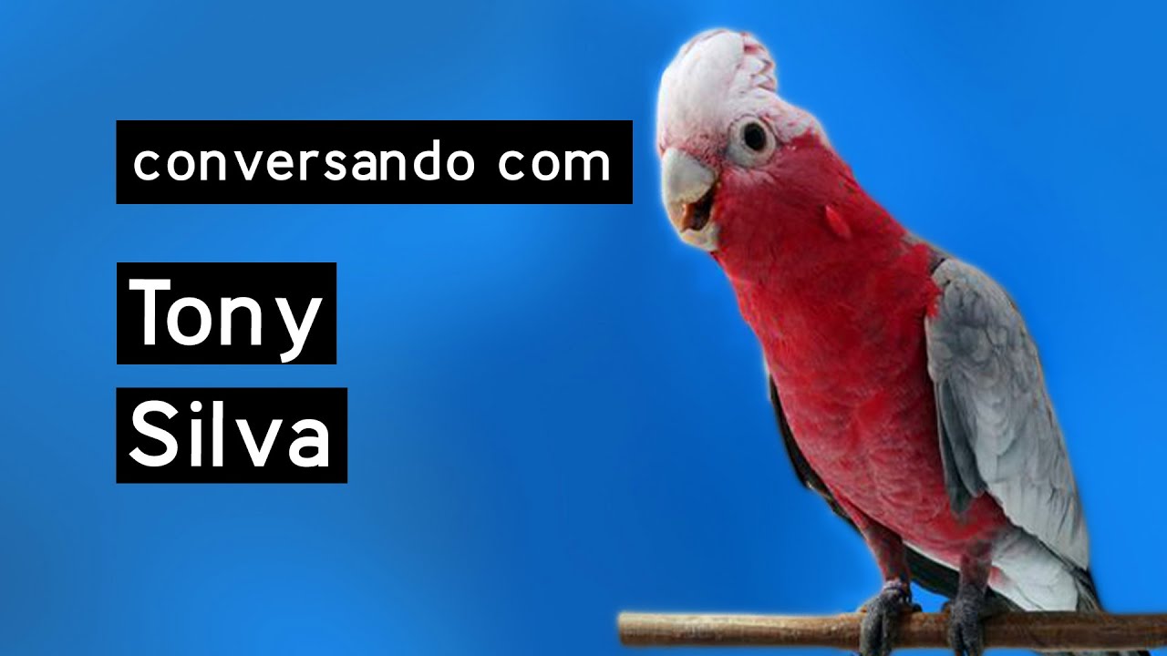 Conversando com Tony Silva sobre Psitacídeos - como alimentar antes e na reprodução e muito mais