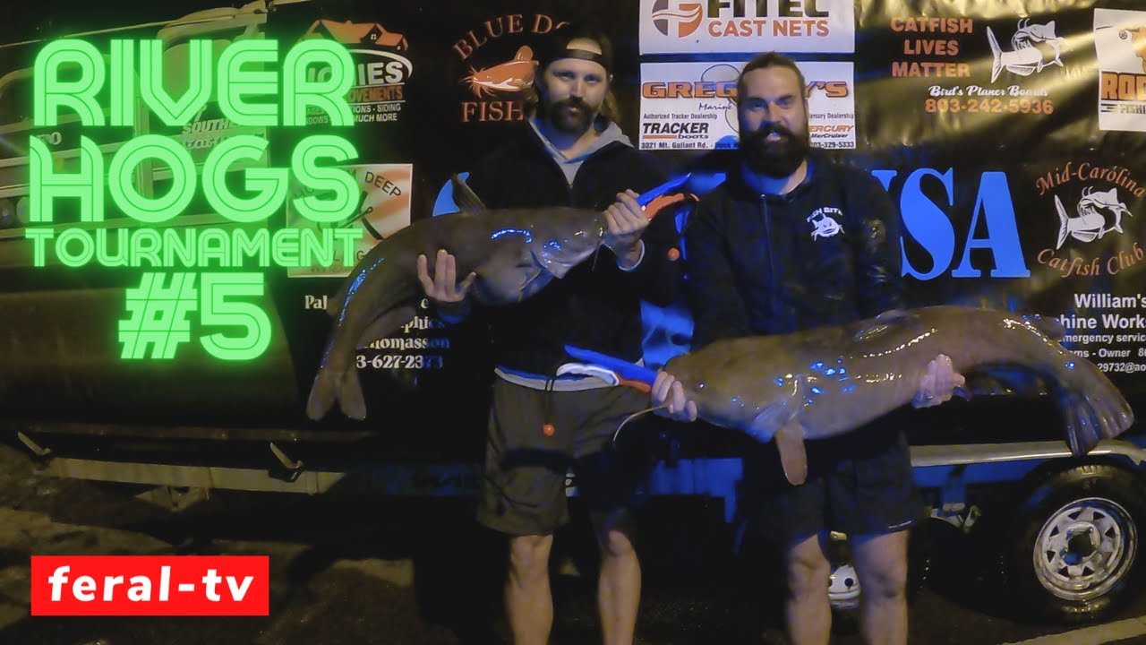 Catfish Tournament Fishing (River Hogs Round 5)