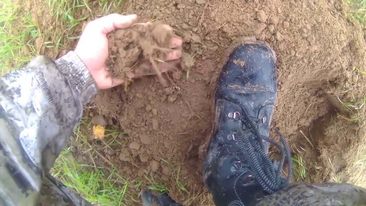 Выход на коп с Minelab xterra 305.В поиске монет.